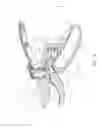 Fig. 09 - Garden shears