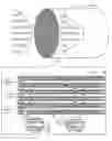 Fig. 01 - HONEYCOMB FILTER AND METHOD FOR MANUFACTURING THE SAME