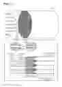 Fig. 12 - HONEYCOMB FILTER AND METHOD FOR MANUFACTURING THE SAME