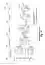 Fig. 07 - Systems and methods for liquid level sensing having a differentiating output