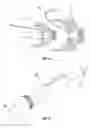 Fig. 09 - Wild animal deterrent device and method