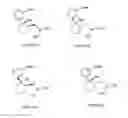 Fig. 01 - Treatment of Comorbid Premature Ejaculation and Erectile Dysfunction
