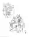 Fig. 02 - Carburetor valve adjustment limiter