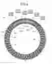 Fig. 08 - STATOR FOR ELECTRIC ROTATING MACHINE