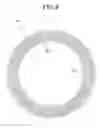 Fig. 09 - STATOR FOR ELECTRIC ROTATING MACHINE
