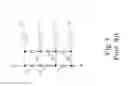 Fig. 02 - Trimmer circuit and method