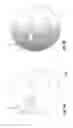 Fig. 03 - Face detection using division-generated haar-like features for illumination invariance