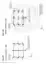 Fig. 16 - Projection display device