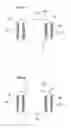 Fig. 06 - Electronic component including reinforcing electrodes