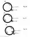 Fig. 33 - Nanotube Structures