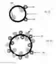 Fig. 34 - Nanotube Structures