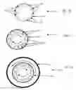 Fig. 35 - Nanotube Structures