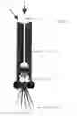 Fig. 54 - Nanotube Structures