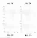 Fig. 07 - Multi-bit STRAM memory cells