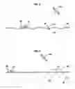 Fig. 03 - Collision avoidance for instrumented probes deployed from a seismic vessel