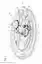 Fig. 04 - Dual display timepiece
