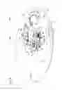 Fig. 06 - Dual display timepiece