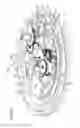Fig. 09 - Dual display timepiece