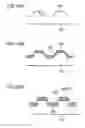 Fig. 15 - INFORMATION RECORDING MEDIUM AND METHOD FOR MANUFACTURING INFORMATION RECORDING MEDIUM