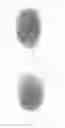 Fig. 09 - Unique, repeatable, and compact biometric identifier