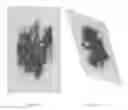 Fig. 03 - IMAGE ANALYSIS SYSTEMS USING NON-LINEAR DATA PROCESSING TECHNIQUES AND METHODS USING SAME