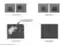 Fig. 06 - IMAGE ANALYSIS SYSTEMS USING NON-LINEAR DATA PROCESSING TECHNIQUES AND METHODS USING SAME