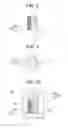 Fig. 07 - Fitting member positioning device