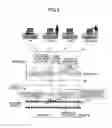 Fig. 06 - CONTENT REPRODUCTION APPARATUS