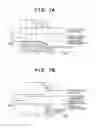 Fig. 09 - Shutter apparatus, image sensing apparatus, and shutter control method