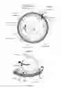 Fig. 02 - Peristaltic pump