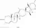 Fig. 76 - HEDGEHOG PATHWAY INHIBITORS