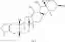 Fig. 79 - HEDGEHOG PATHWAY INHIBITORS