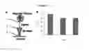 Fig. 11 - Force-induced magnetization contrast for diagnosis and imaging