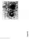 Fig. 07 - Production of Targeted MRI Probes by Biocompatible Coupling of Macromolecules with Charged Nanoparticles