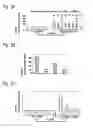 Fig. 03 - METHOD OF DEPLETING REGULATORY T CELL