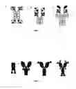 Fig. 02 - VEGF antibodies comprising modular recognition domains