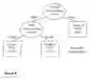 Fig. 09 - Genetic markers for predicting responsiveness to combination therapy