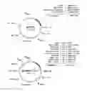 Fig. 01 - Production of Biologically Active Proteins