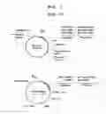 Fig. 03 - Production of Biologically Active Proteins