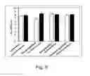 Fig. 42 - Multi plasmid system for the production of influenza virus