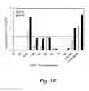 Fig. 43 - Multi plasmid system for the production of influenza virus