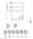 Fig. 44 - Multi plasmid system for the production of influenza virus