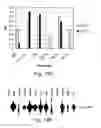 Fig. 45 - Multi plasmid system for the production of influenza virus