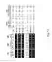 Fig. 46 - Multi plasmid system for the production of influenza virus