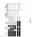 Fig. 48 - Multi plasmid system for the production of influenza virus