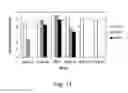 Fig. 50 - Multi plasmid system for the production of influenza virus