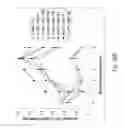Fig. 54 - Multi plasmid system for the production of influenza virus