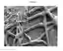 Fig. 04 - Dissolvable Fibrous Web Structure Article Comprising Active Agents