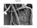 Fig. 06 - Dissolvable Fibrous Web Structure Article Comprising Active Agents