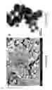 Fig. 02 - STRUCTURED SILVER-MESOPOROUS SILICA NANOPARTICLES HAVING ANTIMICROBIAL ACTIVITY